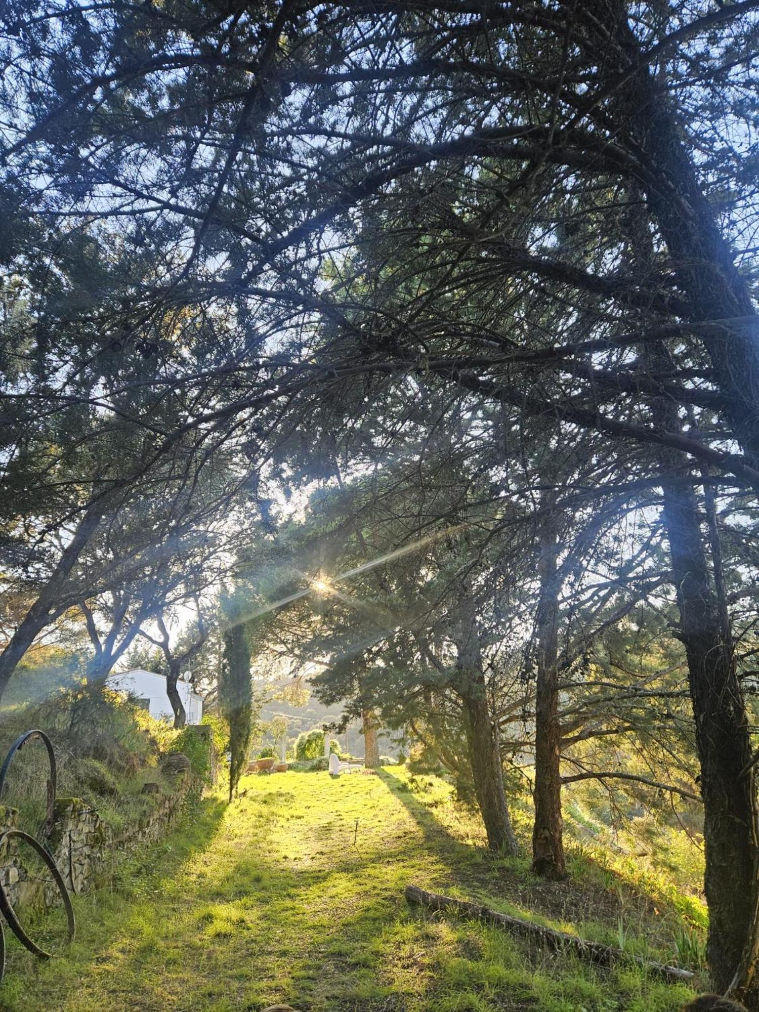 Casa Rural Camino De Hierro I Y II La Fregeneda Bagian luar foto
