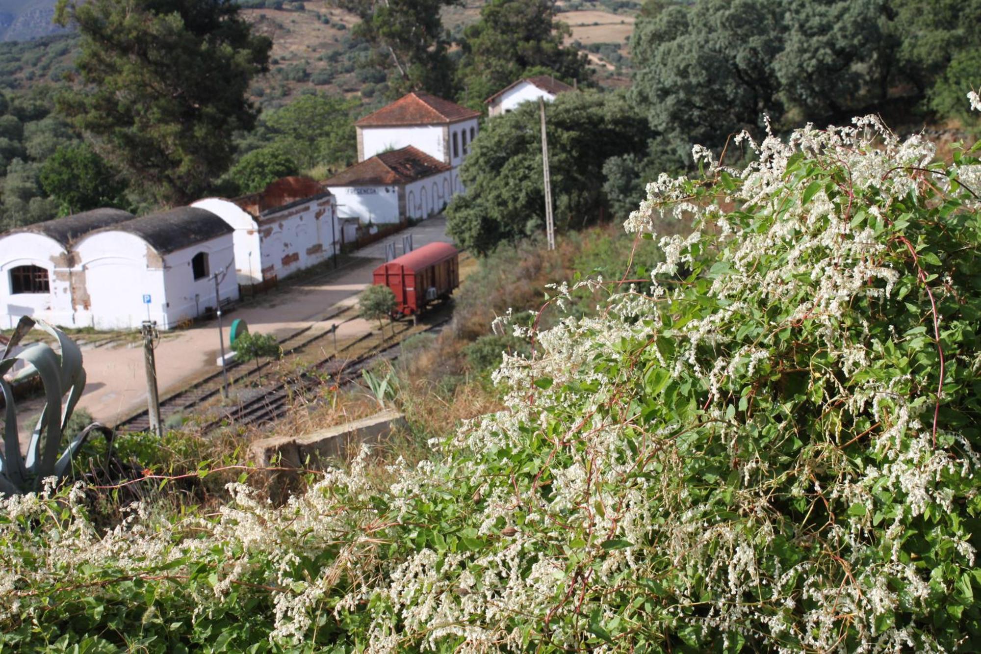 Casa Rural Camino De Hierro I Y II La Fregeneda Bagian luar foto